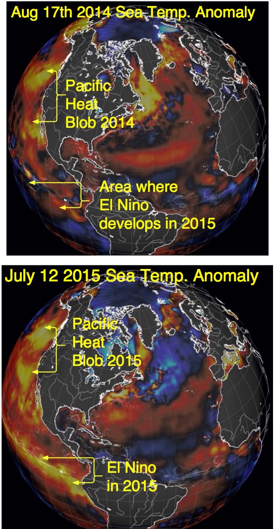 1 year sea temp anomalie.jpg
