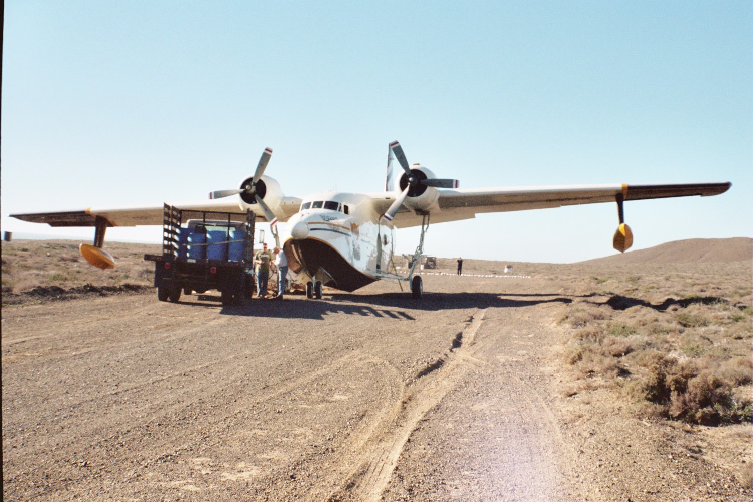 Albatross stuck - end of runway.JPG