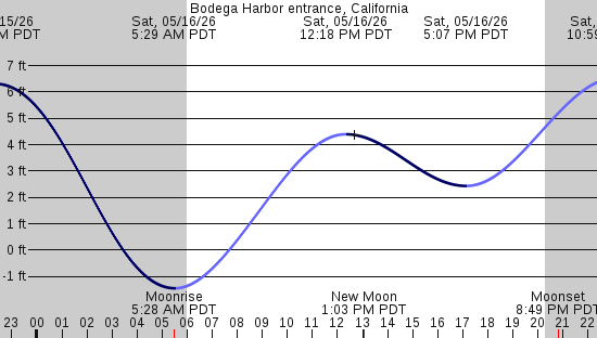 tide graph