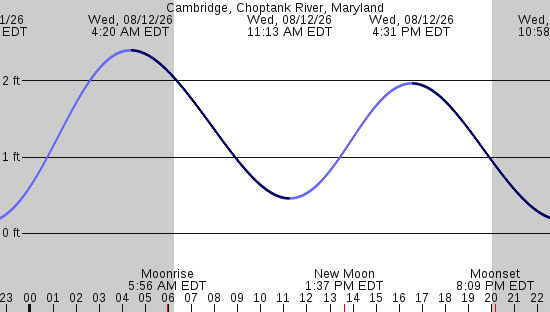 tide graph