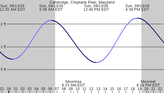tide graph
