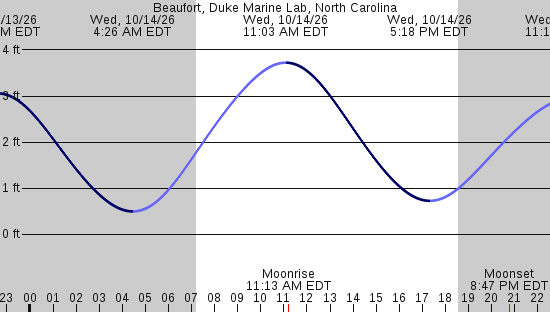 tide graph
