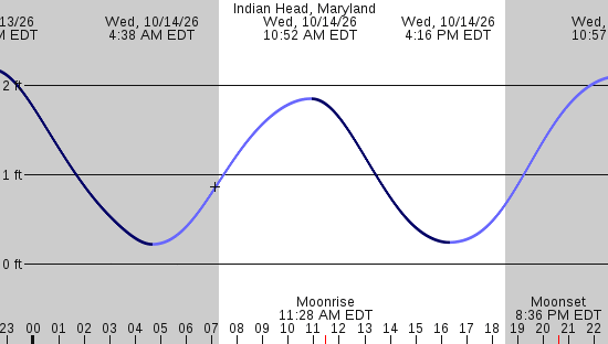 tide graph