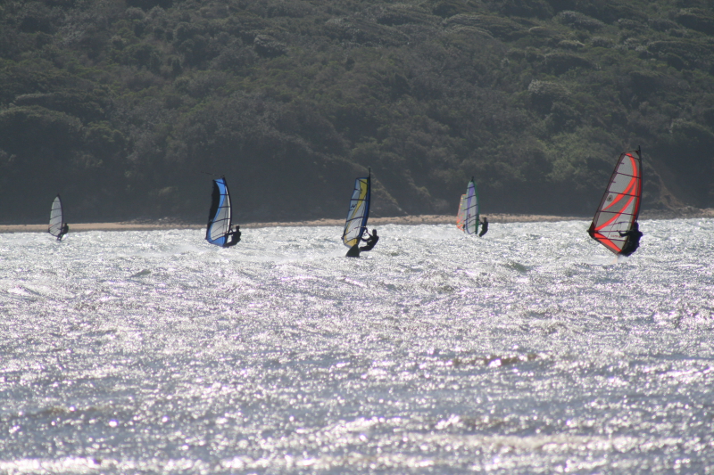 2008 Tomales Bay Windsurfing 107 small.JPG