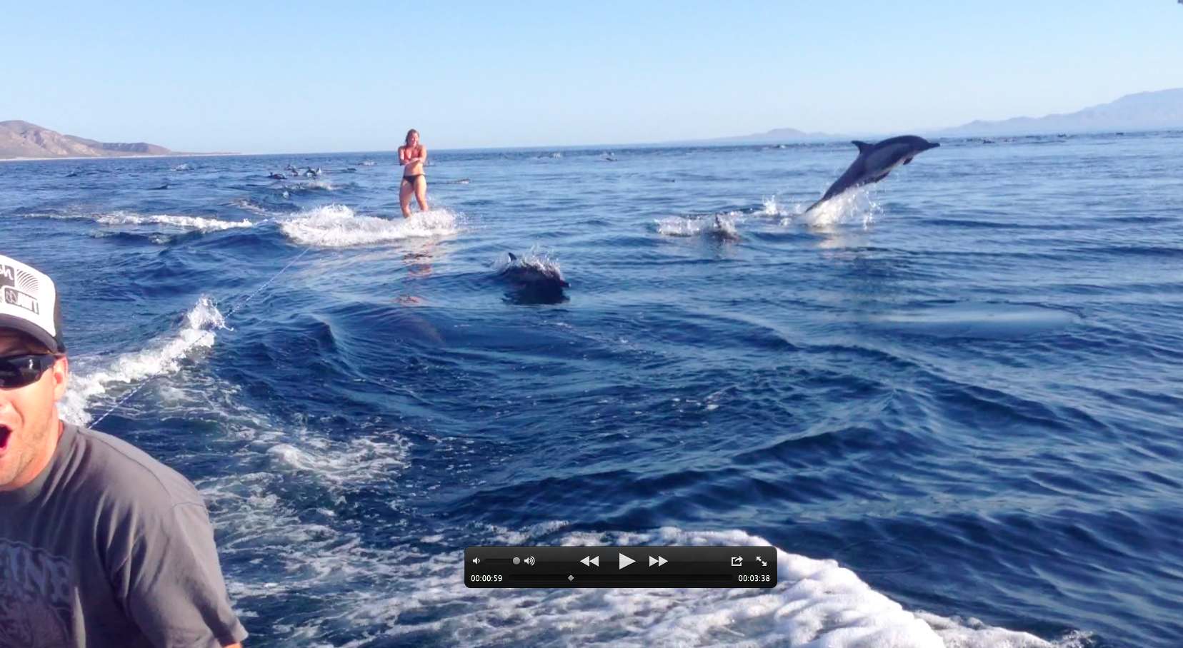 Dolphin surfing2.jpg